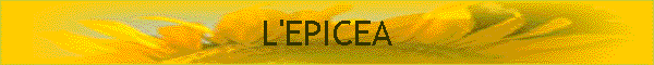 L'EPICEA