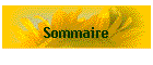 Sommaire