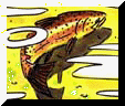 fario.jpg (5608 octets)