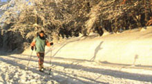 Ski de Fond